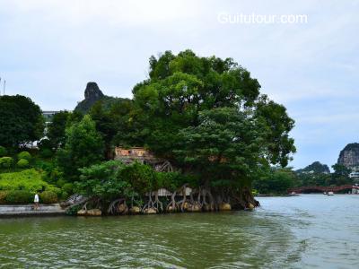 一江四湖旅游图片