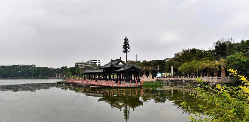 广西贵港旅游姐姐带你云游赏荷胜地，云尝荷城美食