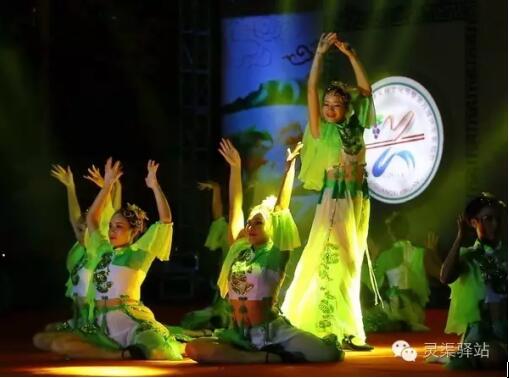 广西兴安第十届桂林米粉文化节暨第八届兴安葡萄节隆重开幕