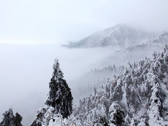 这个周末到资源去看雪