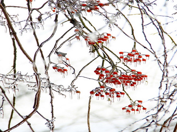 这个周末到资源去看雪