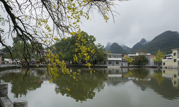 灵川举办“金色海洋“乡村文化旅游体验活动