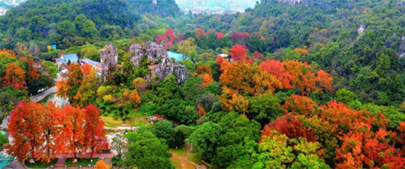 【桂林国际旅游胜地】