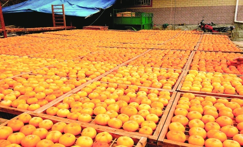 特色食品与桂林山水齐辉———桂林市全面加快地方特色食品产业迈向高质量发展综述