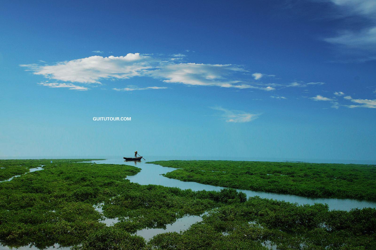 金海湾红树林旅游图片