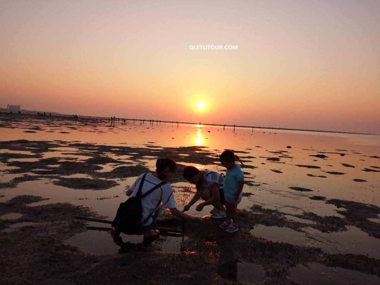 红树林欢乐赶海旅游图片