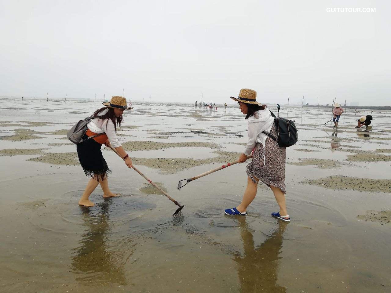 红树林欢乐赶海旅游图片