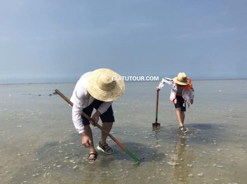 红树林天天赶海旅游图片