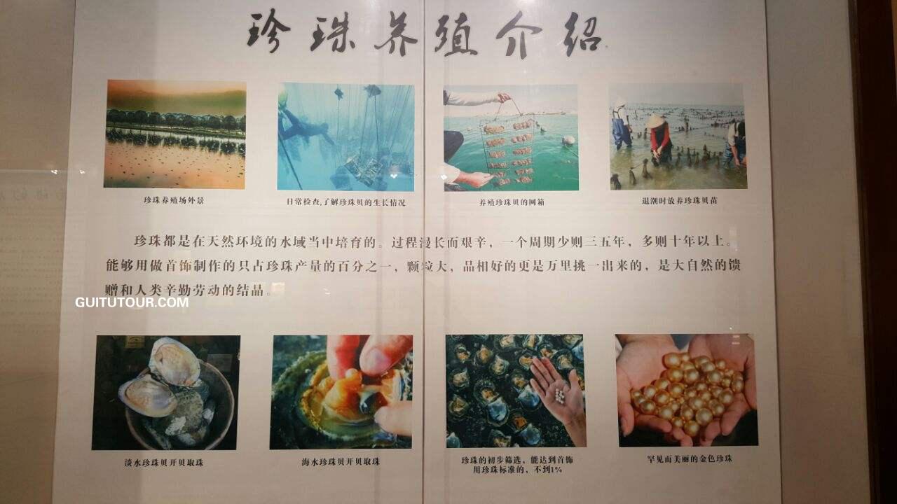 北海贝雕博物馆旅游图片